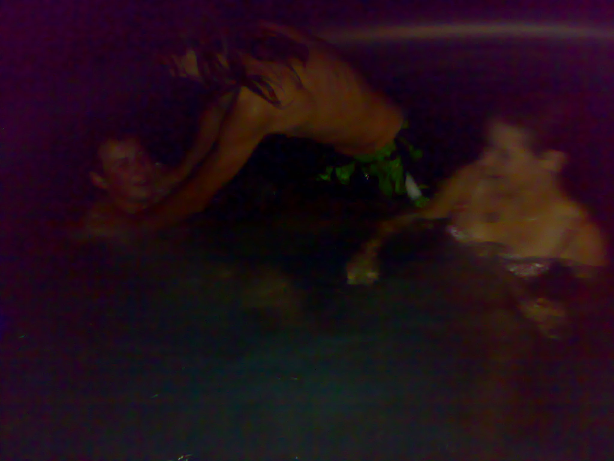 260720081071.jpg