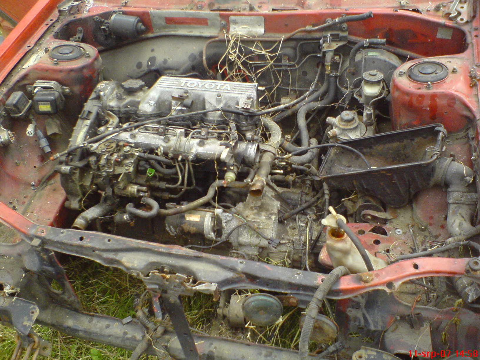 DSC01134.JPG