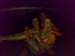260720081082.jpg