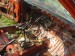 DSC01148.JPG
